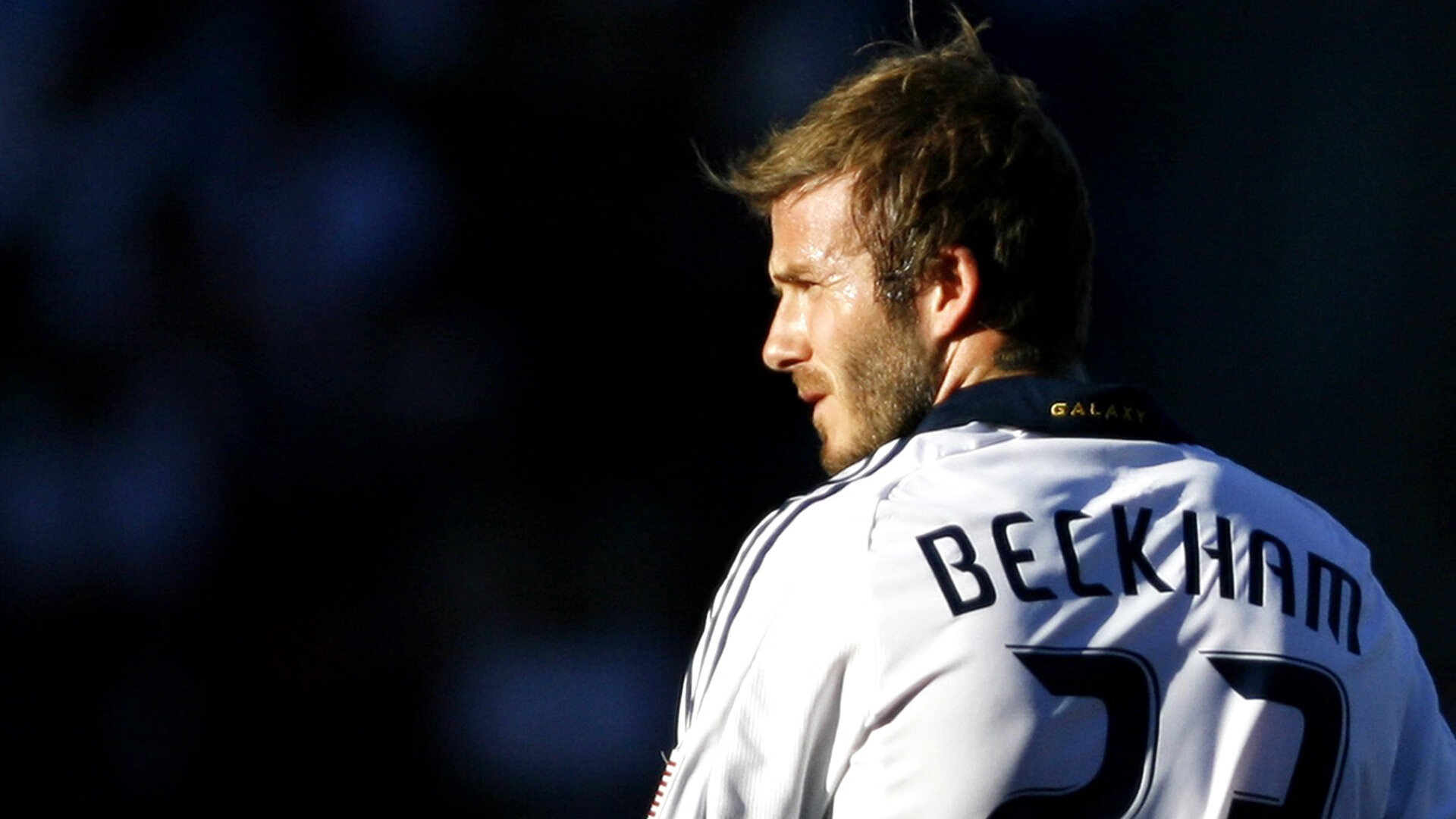 体育博览会展示未来训练理念与设备，体育博览会海报