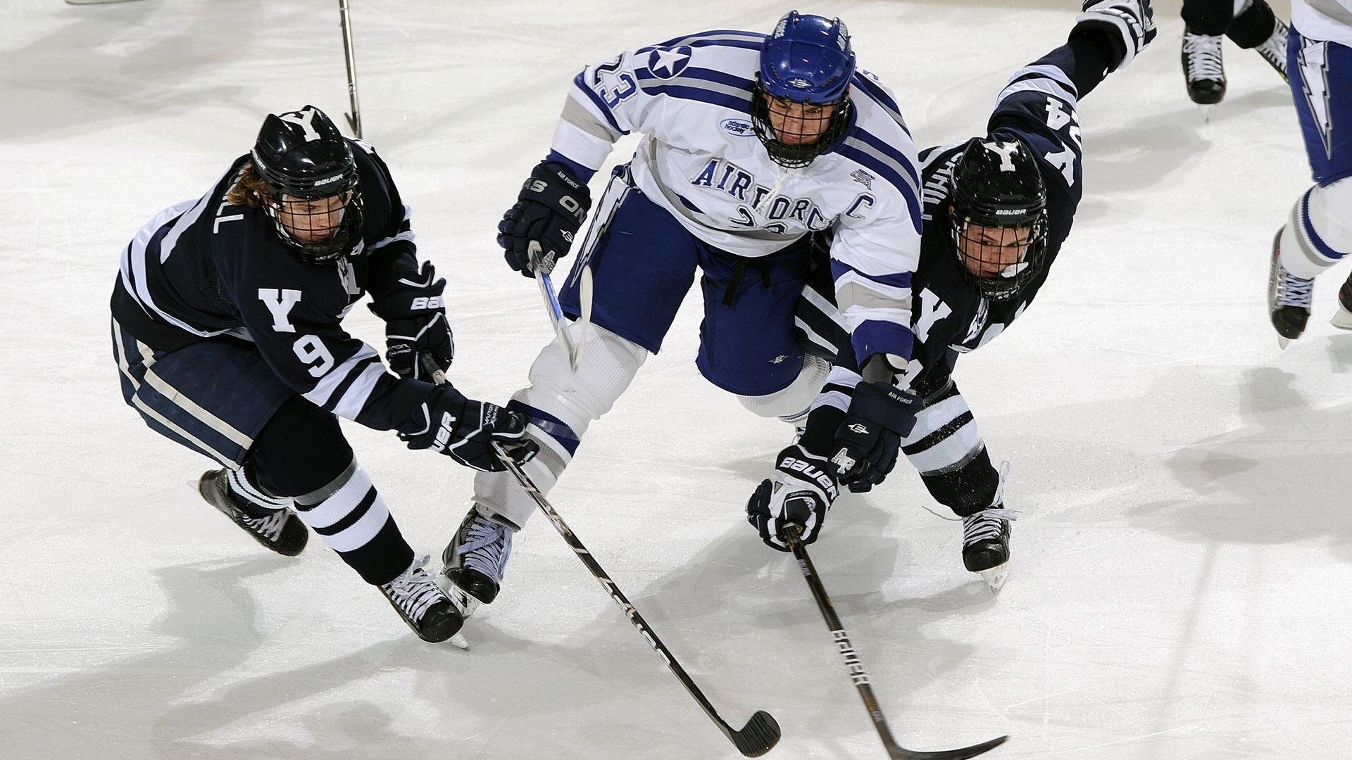 体育博览会展示未来训练理念与设备，体育博览会海报